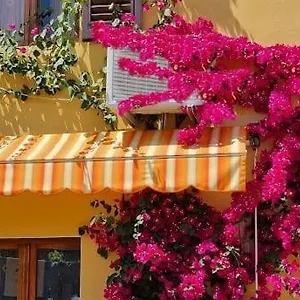 Appartamento In The Heart Of Tuscany, Monsummano Terme